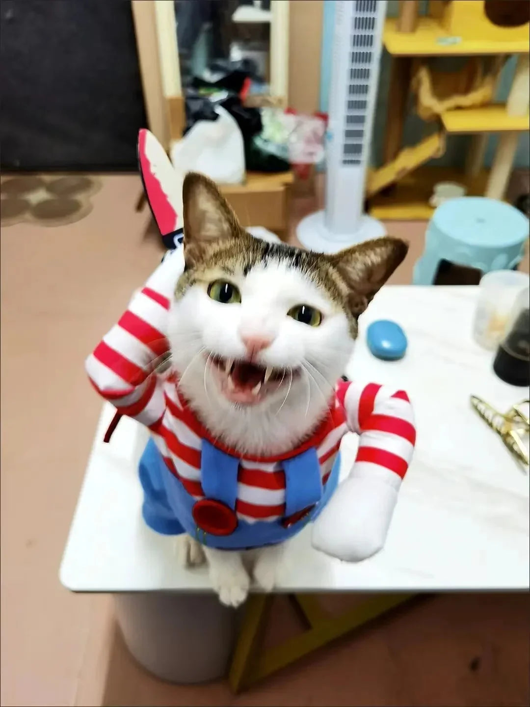 Funny Halloween Costume for Pets