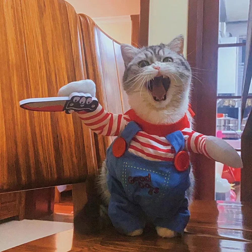 Funny Halloween Costume for Pets