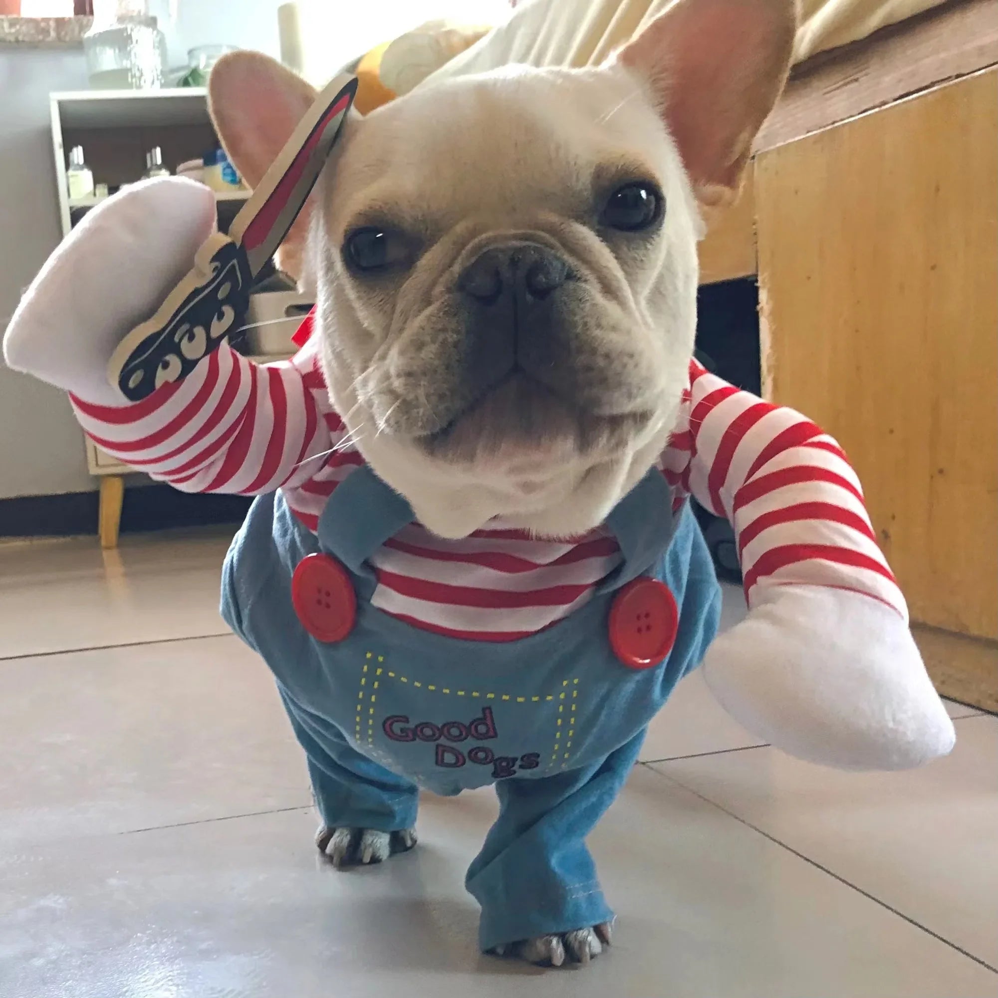 Funny Halloween Costume for Pets