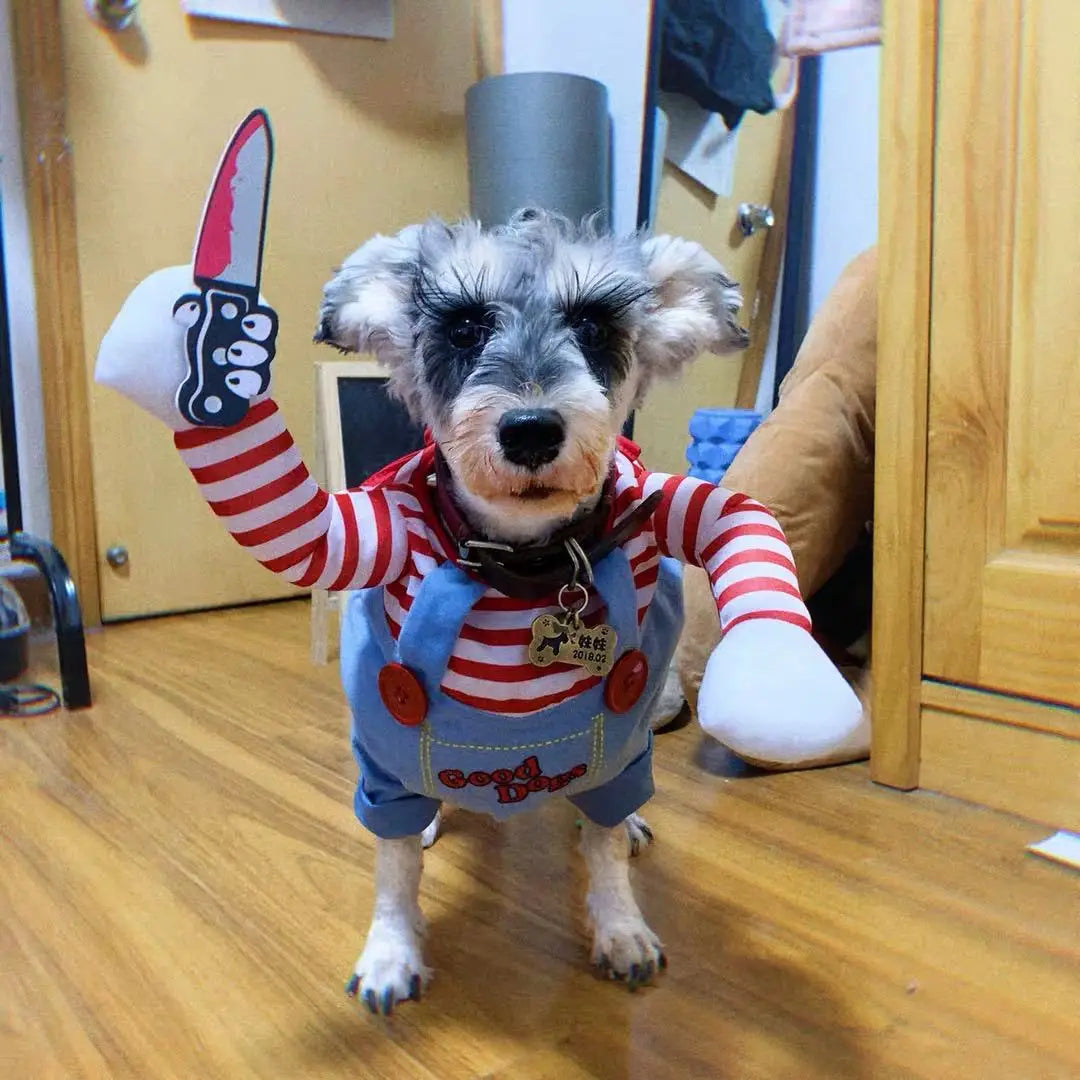 Funny Halloween Costume for Pets