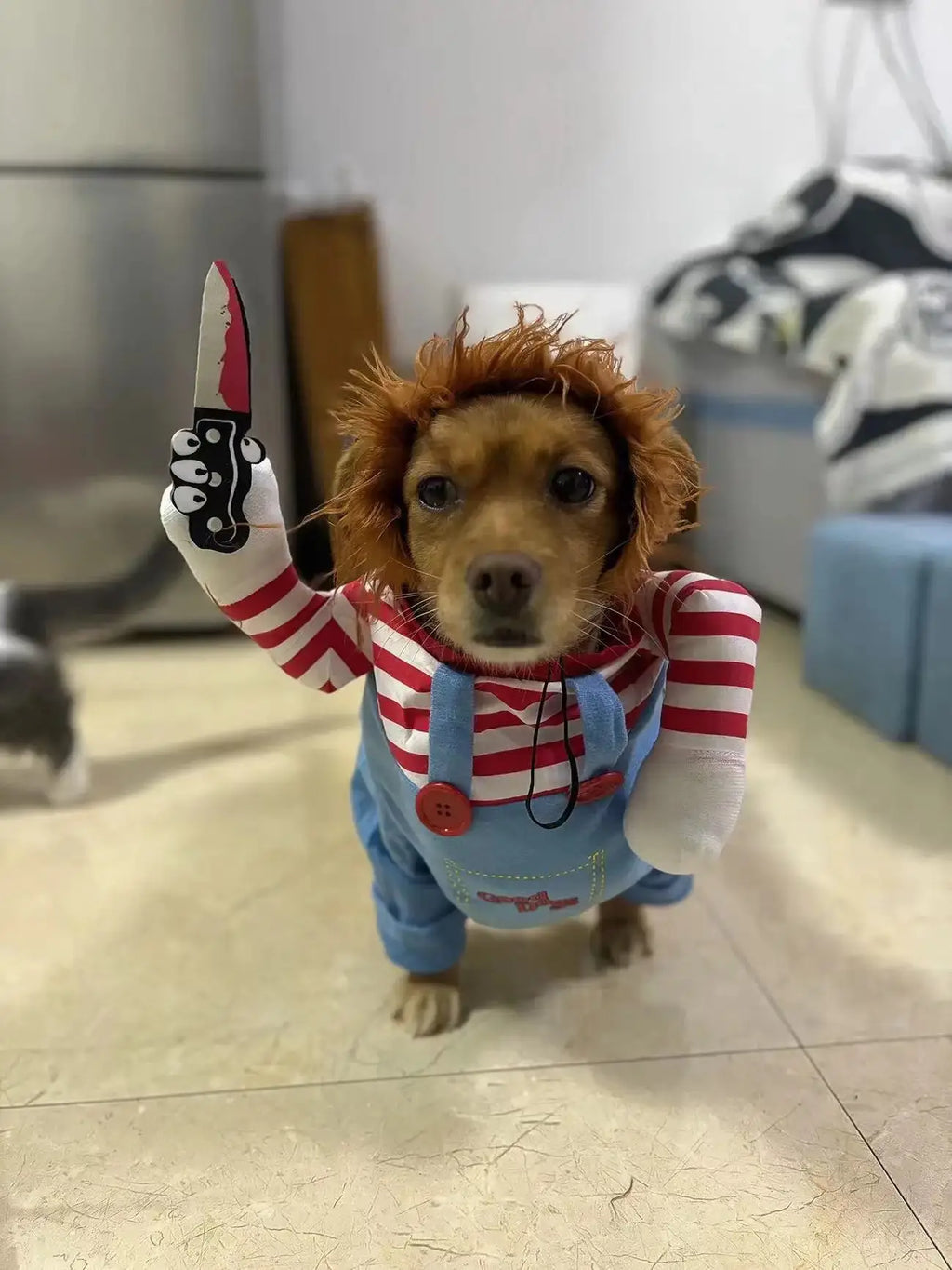 Funny Halloween Costume for Pets