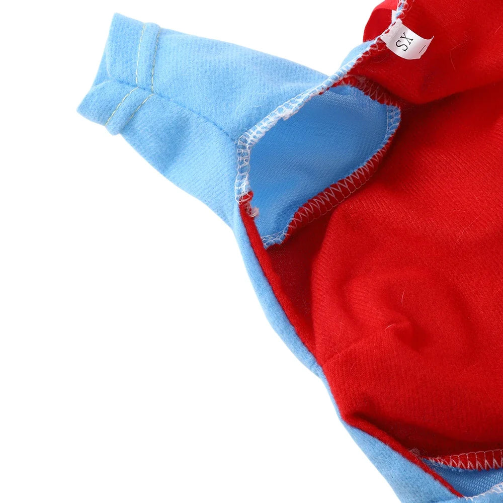 Funny Halloween Costume for Pets