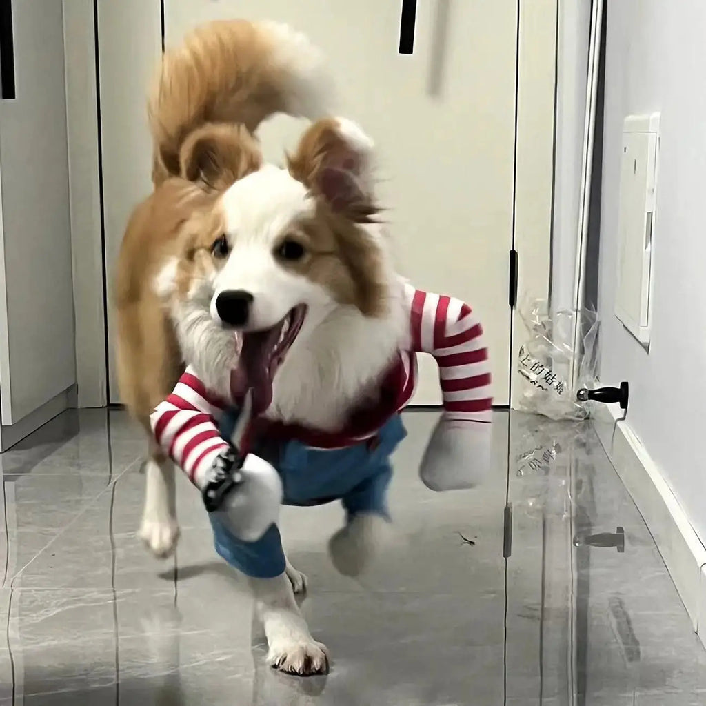 Funny Halloween Costume for Pets